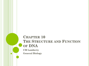 Chapter 10 Structure and Function of DNA