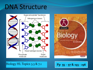 DNA Structure - IBDPBiology-Dnl