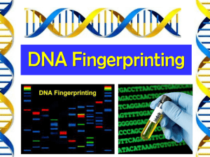 DNA PowerPoint PPT
