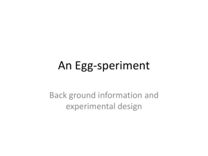 An Egg-speriment PPT