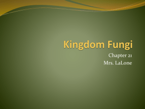 Kingdom Fungi - Herscher CUSD #2