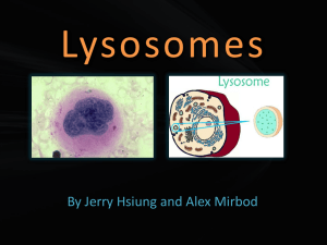 Lysosome[1] - APBioLJCDS2010-2011