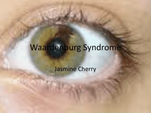 Waardenburg Syndrome