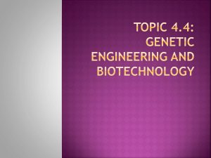 Topic 4.4 genetic engineering and biotechnology (10