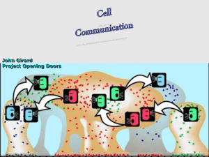 Cell Communication P