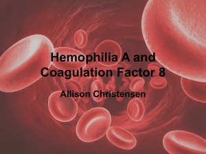 File - Coagulation Factor VIII and Hemophilia A