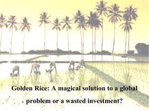 Golden Rice: A magical solution to a global problem or a wasted