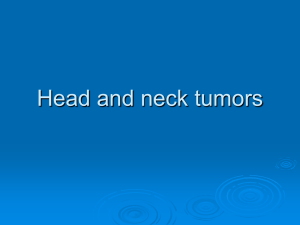 Oral pathology – tumours of head and neck.