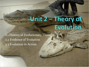 Evolution - PowerPoint