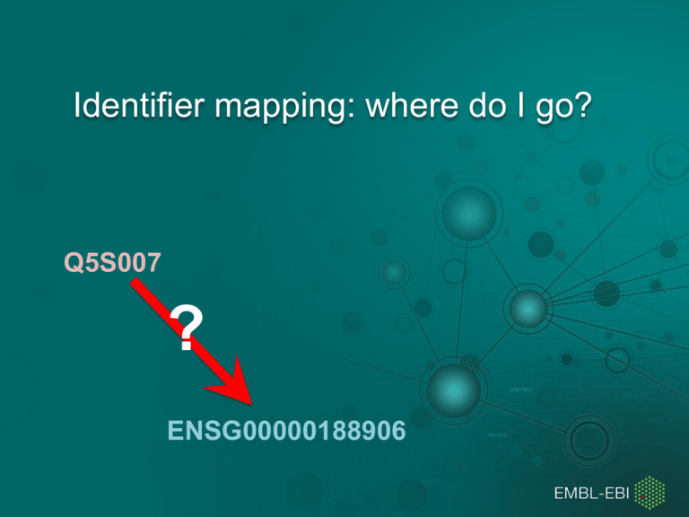 What Is Identifier Format