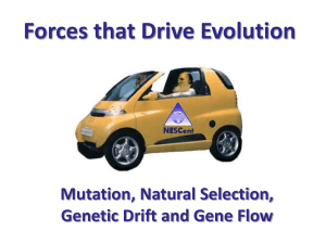Forces that Drive Evolution
