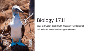 Intro and Evolution Powerpoint