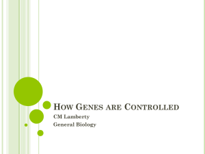 Chapter 11 How Genes are Controlled