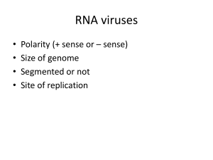 Segmented, dsRNA, Retroviruses