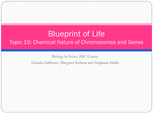 15.1.1 Chemical Nature of Chromosomes and Genes