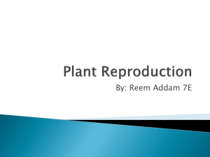 Plant Reproduction for science