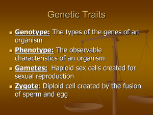 Genetic Traits and Vocab