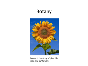 Botany - World of Teaching