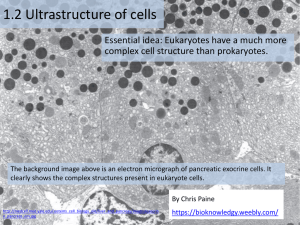 1.2 Ultrastructure of Cells 2016