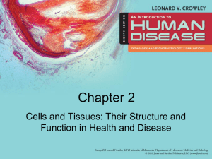 Cells_and_Tissues_in_Health_and_Disease