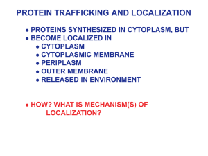 Protein Trafficking and Localization