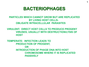 bacteriophages - web.biosci.utexas.edu