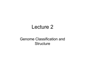 Lecture 2 Virus Classification and Structure
