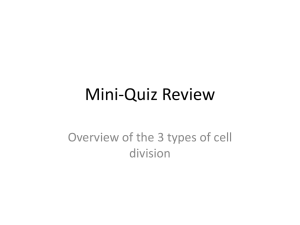 Mini-Quiz Review Cell Division Intro