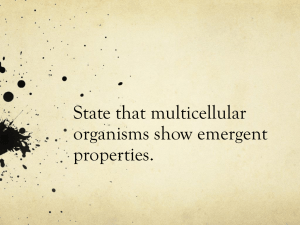 State that multicellular organisms show emergent