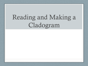 Introduction To Cladograms 2013