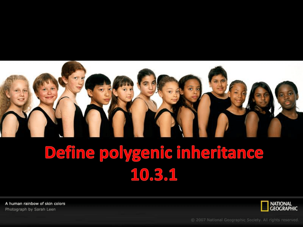 Define Polygenic Inheritance 10 3 1