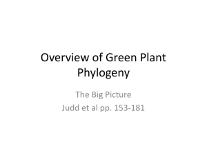 Overview of Green Plant Phylogeny