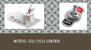 Mitosis: Cell Cycle Control