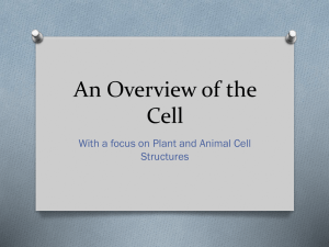 2. An Overview of the Cell