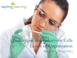 Eukaryotic Cells - PHS Pre