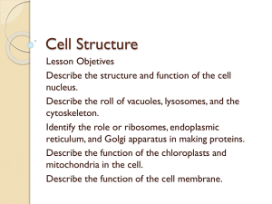 Cell Structure 7.2