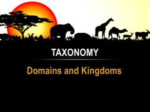 Taxonomy