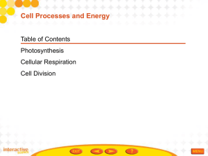 Cell Processes Energy Ch 2 (teacher)
