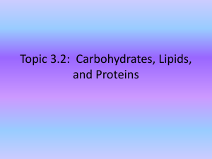 Topic 3.2: Carbohydrates, Lipids, and Proteins