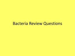 essay on harmful microorganisms bacteria essay on harmful microorganisms bacteria