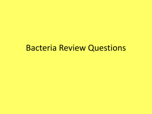 Bacteria Review Questions