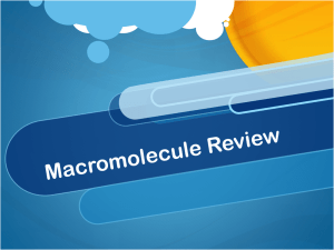 Macromolecule Review - Mr. Dudley`s Website