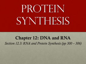 RNA and Protein Synthesis (pp 300 – 306)