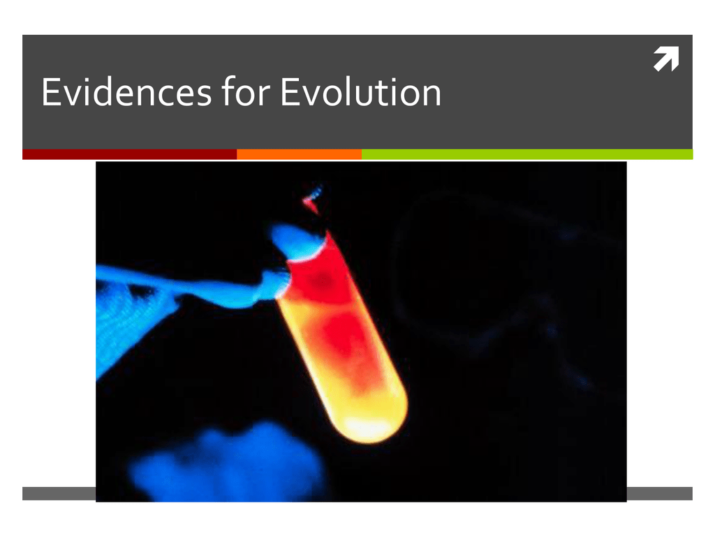 evidences-for-evolution-1