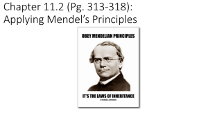 Chapter 11.2 (Pg. 313-318): Applying Mendel*s Principles