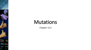 Mutations - McLeanBio