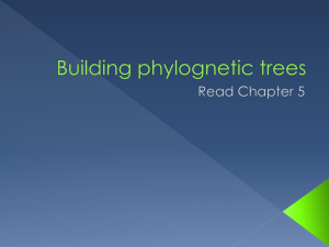 Chapter5 Phylogenetics II