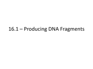 16.1 * Producing DNA Fragments