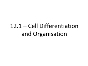 Cellular organisation
