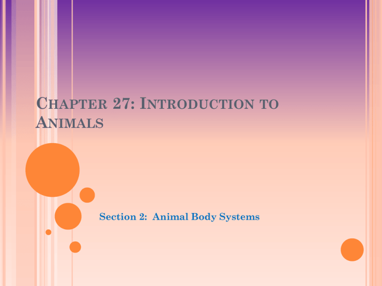 chapter-27-introduction-to-animals